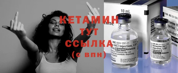 шишки Вязники