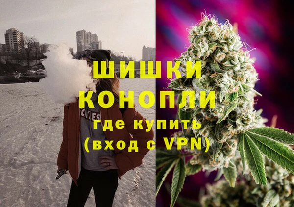 мяу мяу мука Волоколамск